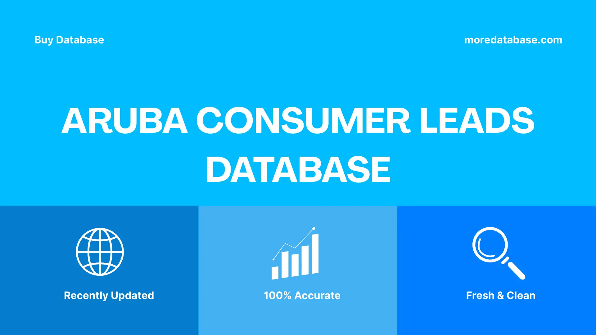Aruba Consumer Leads Database